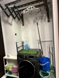 Natura@Hillview (D23), Apartment #534056831